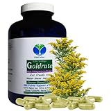 Echte GOLDRUTE Solidago Goldrutenkraut 360 Kapseln NIEREN - BLASE -...