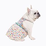 Moorfowl Regenbogen Polka Dots Französische Bulldogge Prinzessin Kleid...