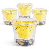 4X Fruchtfliegenfalle Fruchtfliegen-Falle, Fruchtfliegen-Lebendfalle,...