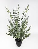 Seidenblumen Roß Eukalyptusbusch 60cm im Topf YF Kunstpflanzen künstliche...