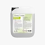 TerraDomi Rusche Steindusche, 5 L Konzentrat, Steinreiniger für bis zu...