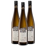 Oberkircher Winzer Scheurebe Auslese - COLLECTION OBERKIRCH - erfrischende...