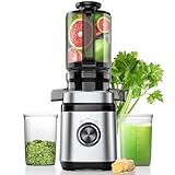 Entsafter, Slow Juicer, Entsafter Gemüse und Obst Testsieger mit | 350W...
