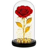 Retoo Ewige Rose im Glas mit LED Licht, Gefriergetrocknete Rosen als...