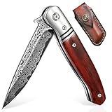 DRAGON RIOT Damast Klappmesser, Hochwertig Taschenmesser aus VG10 Edelstahl...