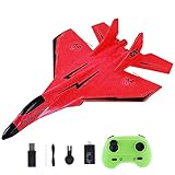 Baoblaze RC Flugzeug 2 Kanal, Schaumstoff Flugzeug Ferngesteuert Leicht mit...