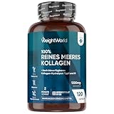 Kollagen Kapseln - 1200mg reines Marine Collagen Typ I und III -...