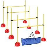 PawHut Agility Set Hunde 4-teiliges befüllbar Agility-Ausrüstung für...