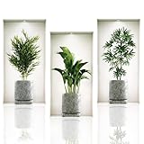 Wandtattoo Pflanzen,3 Stück Wandsticker 3D Bilder Wandaufkleber,wandtattoo...