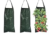 SRJQXH 3er Pflanzsack, Pflanztaschen für Draußen mit 10 Löchern,...