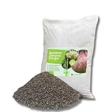 Rodopi Bio-Bambusdünger & Ziergrasdünger Granulat – 3 Monate...