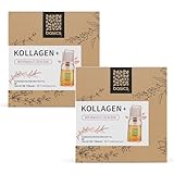 basics Kollagen + mit hochdosiertem Kollagen Hydrolysat, Vitamin C, D3,...