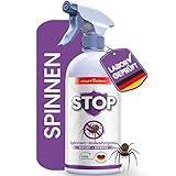KRAFTKÖNIG Spinnenspray 500 ml – Starkes Spinnenabwehr Spray für Haus,...