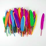 Großhandel 10–15 cm/4–6 Zoll bunte Gänsefedern, Bastelzubehör,...