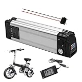 HJGHY 24 V 10 Ah 13 Ah 15 Ah 20 Ah 8 Ah Lithium Li-Ionen E-Bike-Akku 24...