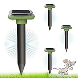 Solar Maulwurfvertreiber 2025, Gopher und andere Maulwurfvertreiber 4...