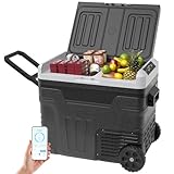 EUHOMY 50L Kompressor-kühlbox-20℃ bis +20℃ | 15-Minuten...