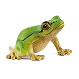 schleich WILD LIFE | Europäischer Laubfrosch 14882 | detailgetreue...