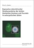 Expression rekombinanter Strukturproteine der beiden Hantaviren Hantaan und...