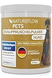 Grünlippmuschel Hund TESTSIEGER - 250g natürliches Grünlippmuschelpulver...