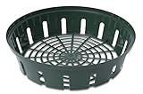 Windhager Blumenzwiebel-Schale, Pflanz-Schale, Anzucht-Schale,...