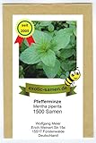 Pfefferminze - Mentha piperiata - 1500 Samen