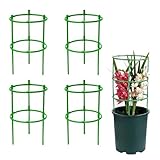 Tomaten Rankhilfe, 4er Set, 2 Ringe, HxD: 48 x 18 cm, Gurken Rankhilfe Mit...