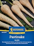 Kiepenkerl Profi-Line Pastinakensamen Javelin, F1 1045240 - Wurzelgemüse...