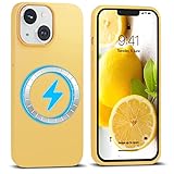 IceSword Magnetische Schutzhülle für iPhone 14, Silikon, schnelles...