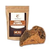 Wildfang® Kauwurzel aus Baumheide für Hunde, Größe S - Natürliches...