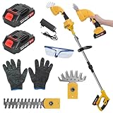 2 in 1 Pole -Hedge -Trimmer, 21 -V -Stangen -Mini -Hedge -Trimmer und...