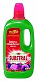 Substral Balkon- und Kübelpflanzen-Nahrung - 1 Liter