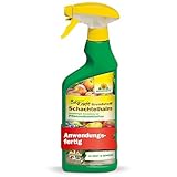 Neudorff BioKraft Grundstoff Schachtelhalm – Anwendungsfertiges Spray...