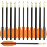 WANVZMR 6,3' Carbon Pistole Armbrust Bolzen Pfeile,Mini Armbrustbolzen...