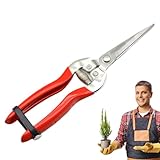 Nbbwwu Gartenschere,Pflanzenschere Aus Rostfreiem Edelstahl & Gartenschere...