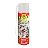 COMPO Ameisen-Spray N, Insektenspray, 400 ml