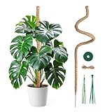 Mcbazel 120CM Monstera rankhilfe Kokosfaser Rankhilfe mit Zubehör,...