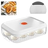 AXVRAV Pizzaballenbox mit Deckel 31×23×9 cm, Gärbox für Pizzateig...