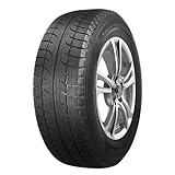 AUSTONE - 165/70 R13 TL 79T SKADI SP-902 M+S 3PMSF - Winterreifen