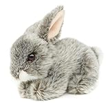 Uni-Toys - Hase, liegend (grau) - 18 cm (Länge) - Plüsch-Kaninchen -...