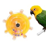 Vogelspielzeug für Sittiche, interaktives Spinner, Rassel, Wellensittich,...