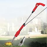 Tragbarer 3-in-1-Heißluft-Unkrautvernichter, 2000 W elektrischer...