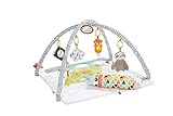 Fisher-Price HBB74-5 Sinnes Baby Spieldecke, kuschelig weiche Krabbeldecke...