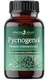 Pinienrindenextrakt hochdosiert - Original Pycnogenol - mit Vitamin C aus...
