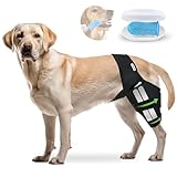 CATUPUNIS Hunde-Kniebandage für zerrissene ACL Hinterbeine, passend für...