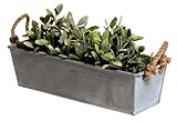 LB H&F Blumenkasten Balkonkasten 44cm Zink - Pflanzkasten Massiv Metall...