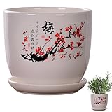 Keramik -Töpfe für Pflanzen, Keramikpflanztöpfe im chinesischen Stil mit...
