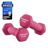 SONGMICS Hanteln 2er Set, 2 x 0,5 kg, Kurzhanteln mit matter Beschichtung...