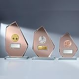 eberin – Jade Glaspokal Red-Rock 10mm, Award für Vereinsfest &...