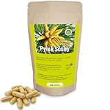 Pinien Pollen Kapseln Wildsammlung Zellwandgebrochen vegetarische...